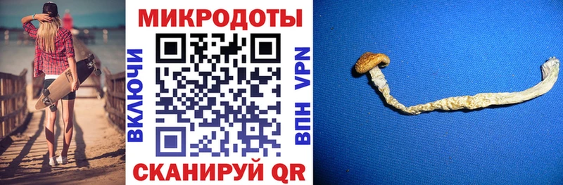 Псилоцибиновые грибы GOLDEN TEACHER Купить закладки Мышкин